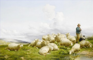  Sheep Oil Painting - Thomas Sidney Cooper Shepherd with sheep 1868
